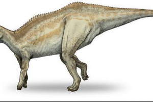 Shandonosaur Shandonosaur